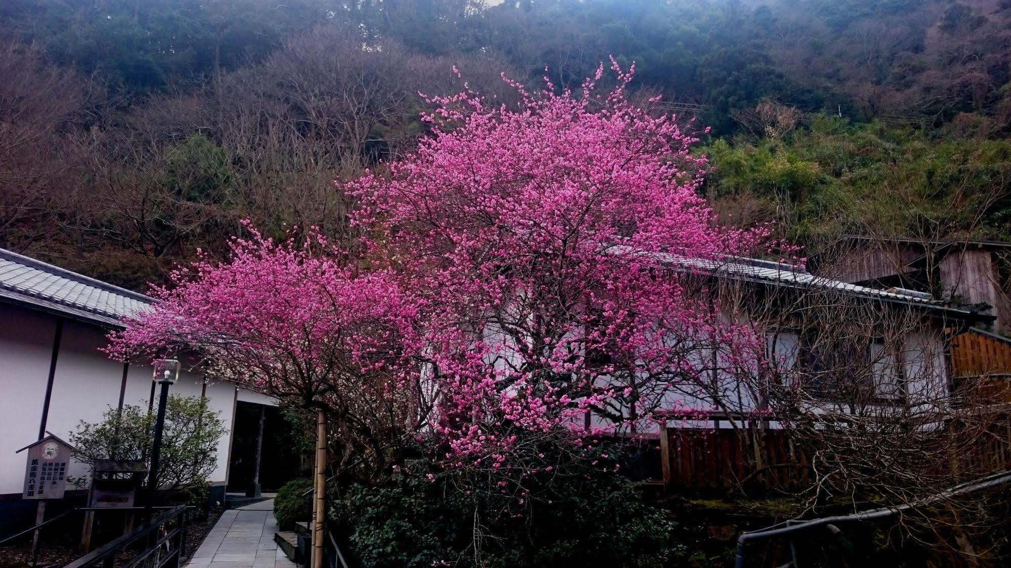 Beppu Showaen Exterior foto